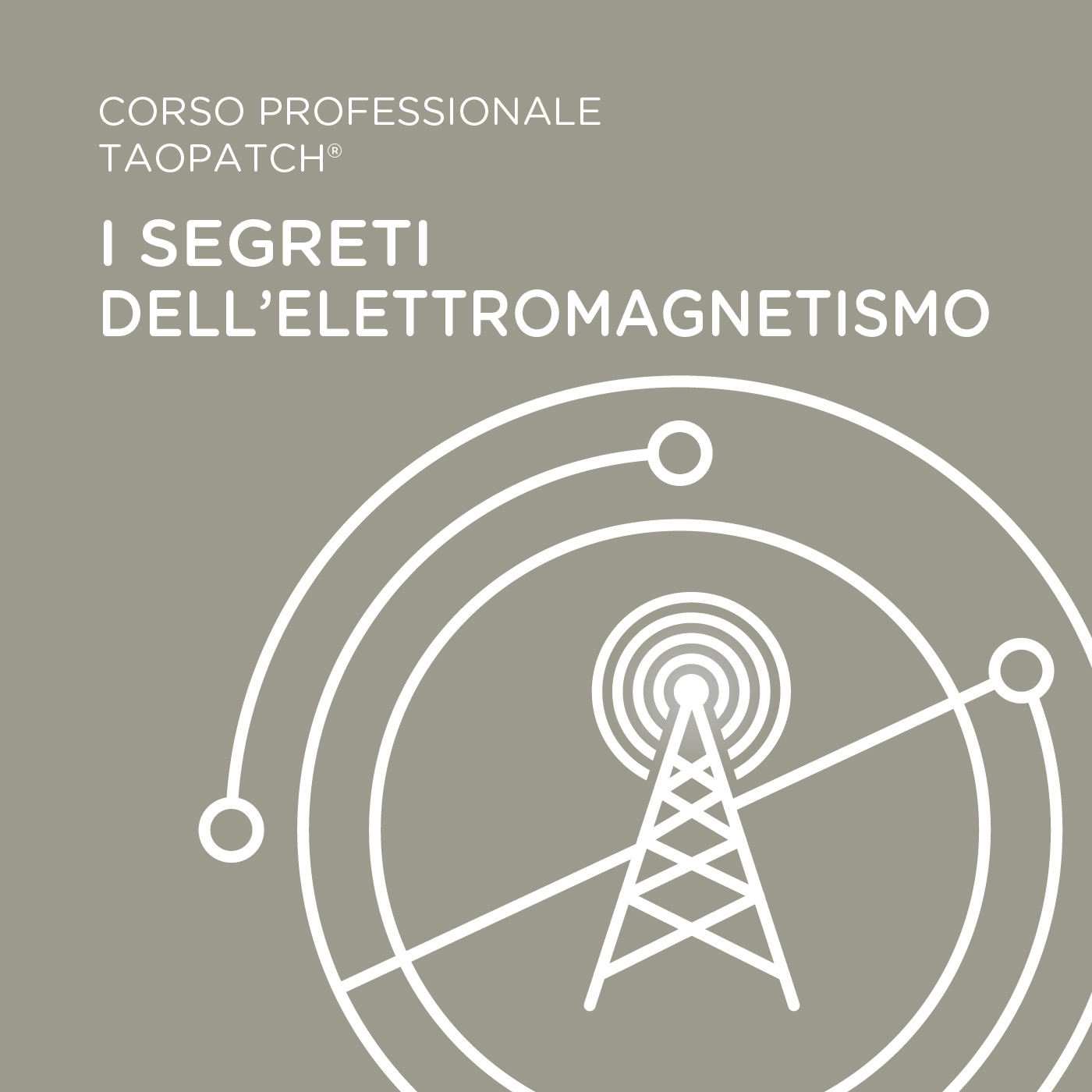 CORSO PROFESSIONALE TAOPATCH® - I SEGRETI DELL'ELETTROMAGNETISMO